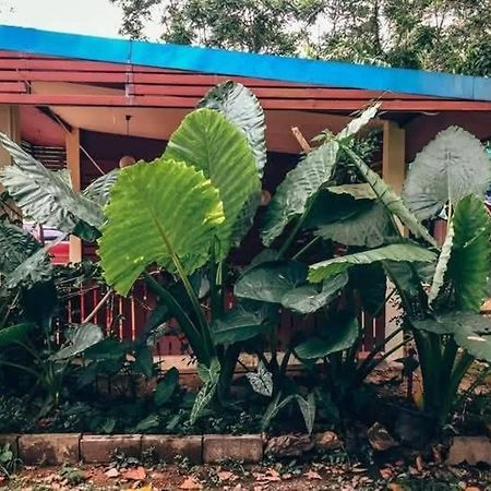 Song Pee Nong Resort Phattalung Phatthalung Zewnętrze zdjęcie