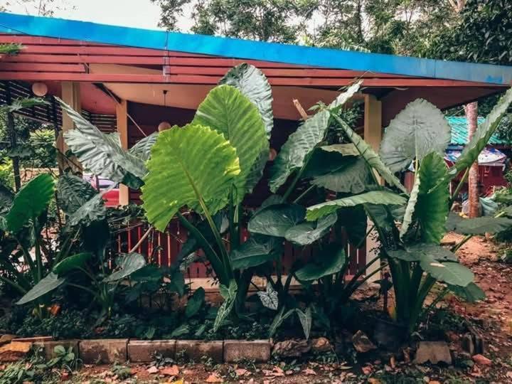 Song Pee Nong Resort Phattalung Phatthalung Zewnętrze zdjęcie